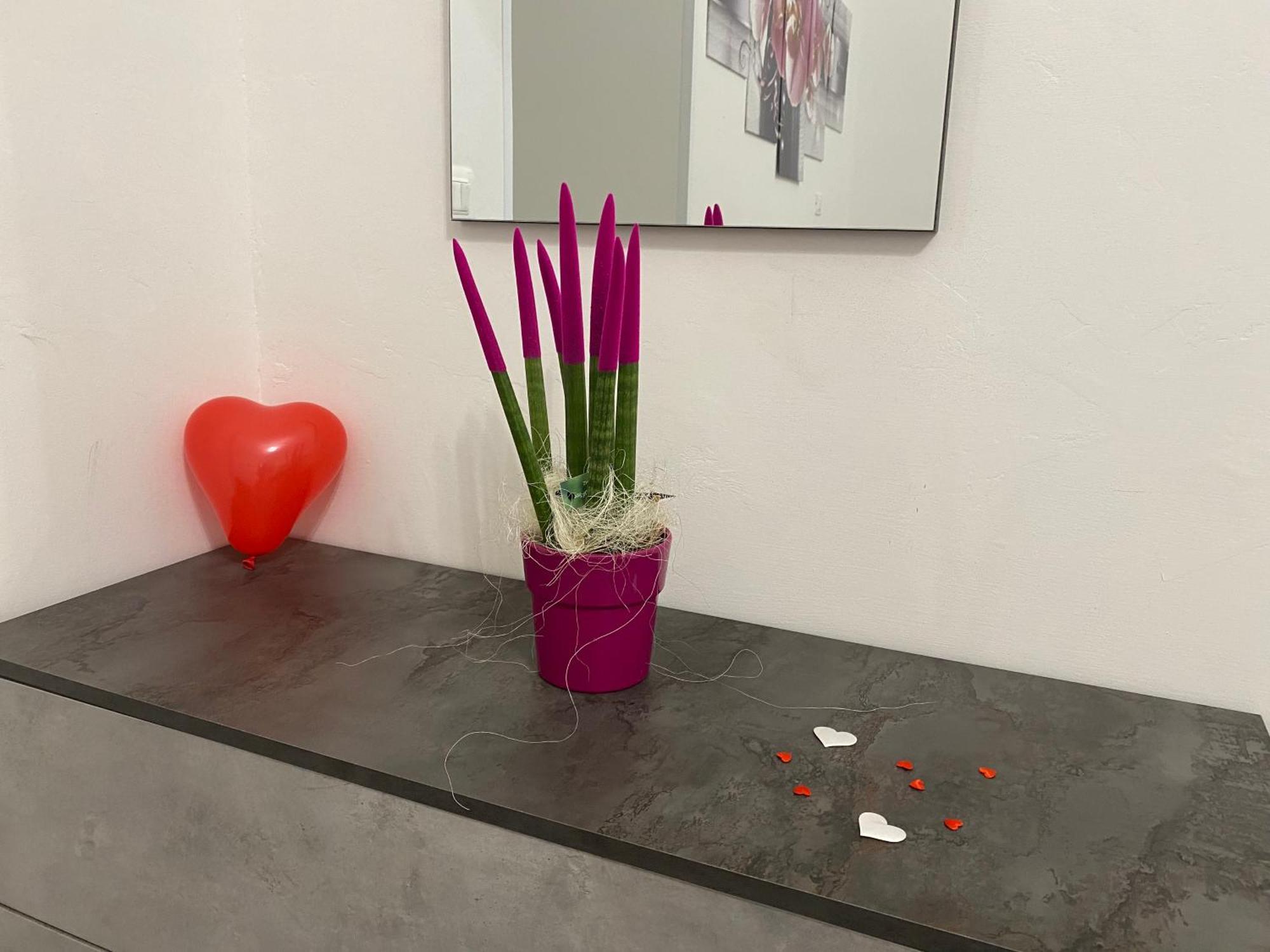 Le Regioni Del Cuore فيستَ المظهر الخارجي الصورة
